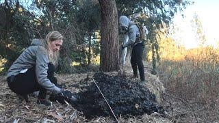 Digging Through Black Muck Reveals a Jaw-Dropping Surprise!