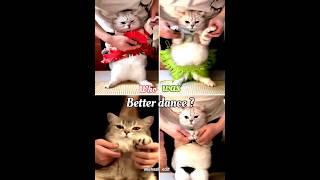 screbot factory#viral song#trending cat dance short#Mahesh edit#️