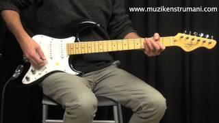 Dean Zelinsky Tagliare Limited