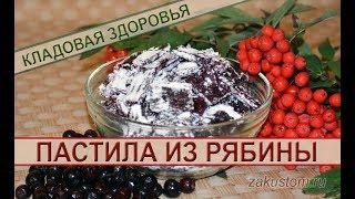 Рецепт домашней пастилы из красной и черноплодной рябины - как приготовить полезный десерт