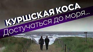 Куршская коса. Достучаться до моря...