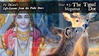 The Timid Doe - Life Lessons from Vedic Star Mrigashirsha