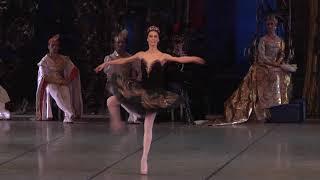 Swan Lake. Fragment 3. Archive of Aleh Lukashevich