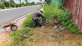 Rough cleaning of abandoned sidewalks with overgrown grass - Clean sidewalk grass cutting