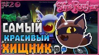 САМЫЙ КРАСИВЫЙ ХИЩНЫЙ СЛАЙМ | Slime Rancher [20]