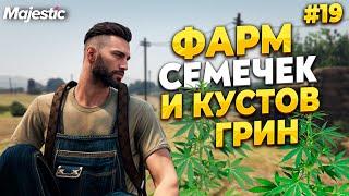 ПУТЬ НОВИЧКА С НУЛЯ, ФАРМ СЕМЕЧЕК И КУСТОВ ГРИН НА MAJESTIC RP / GTA 5 RP.  ПРОМО - TAXI