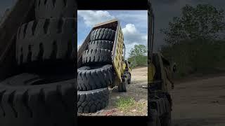 Разгрузка шин  #агробизнес #automobile #агротехнологии #сельхозтехника #farming #agrifuture