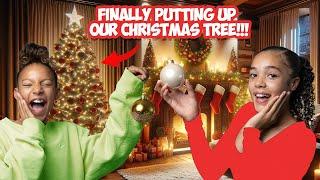 "EPIC FAMILY CHRISTMAS TREE SETUP WITH 9 PEOPLE!  (Chaos, Laughter & Holiday Fun!)"