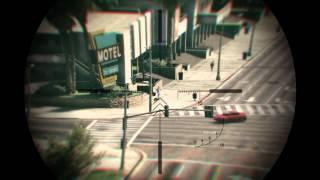 Grand Theft Auto V The Assassin*