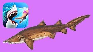 Hungry Shark World 6 - Покупаю ПЕСЧАНУЮ АКУЛУ за 14000 монет