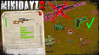 Неоднозначное Оружие MINI 14 "Указка"  Mini DayZ 2