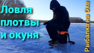 ШОК! 5 кг рыбы за два часа на Оке! Ловля окуня зимой 2020. Как найти плотву ? Зимняя рыбалка на Оке