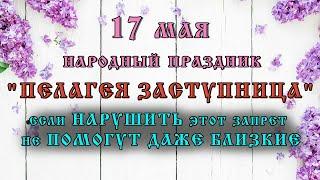 17 мая Народный праздник "ПЕЛАГЕЯ ЗАСТУПНИЦА". Приметы, традиции, что КАТЕГОРИЧЕСКИ ЗАПРЕЩЕНО.