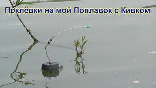 Мой Поплавок с Кивком собственной конструкции, Схема Fishing angeln la pesca câu cá 钓鱼 рыбалка