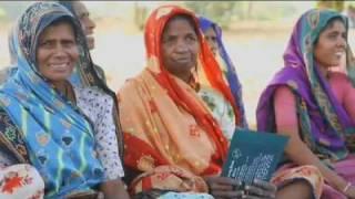 Women's World Banking: Leaders and Clients in Focus (SP)