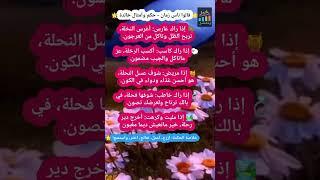  قالوا ناس زمان - حكم وأمثال خالدة #حكم_وأمثال #قالوا_ناس_زمان #حكمة_اليوم #تراث