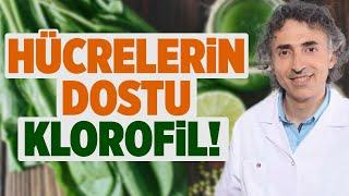 KLOROFİL Nedir? Klorofilin Vücudumuza Etkisi | Melek Feyza Karaman | Doktor Fitt