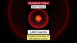 Root Chakra (Muladhara)