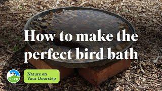 How to make the perfect bird bath | RSPB Nature on Your Doorstep