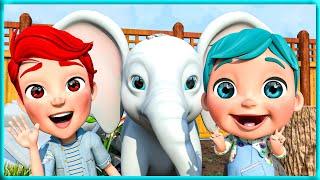 Welcome to the Zoo - Kids Songs - Nursery Rhymes - Super Coco Pre School