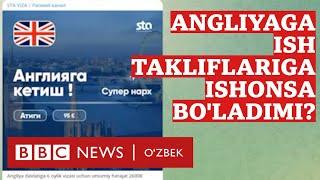 Алданиб қолманг: Англия фермасида ишни Ўзбекистон фуқароларига ким таклиф қиляпти? BBC News O'zbek