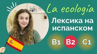 Экологическая лексика на испанском: уровни B1-C1 для уверенного общения