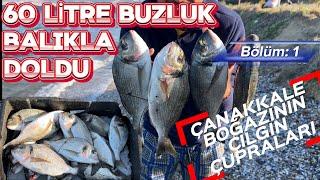 ÇUPRA ZAMANI (ÇANAKKLE/Kilitbahir) #fishing #balıkavıvideoları #balık #çanakkalebalıkavı #çupra