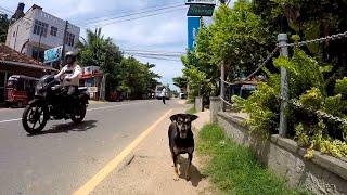 Welle Dewalaya Road, Unawatuna