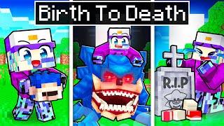 BIRTH To DEATH of SHIN SONIC in Minecraft!