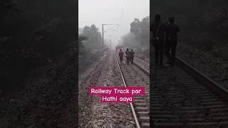 Aaj Railway track par Track Man ko Hathi mila 