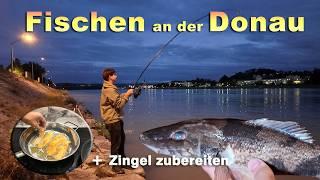 Angeln an der Donau, Krebse fangen, Zingel zubereiten und essen - Fischen an der Donau in Persenbeug