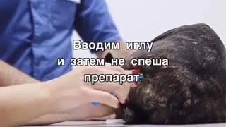 Как сделать укол питомцу