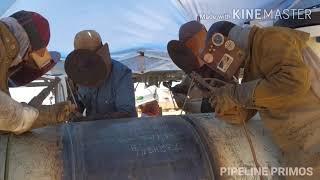 PIPELINE WELDING (Day in the life of a PIPELINE PRIMO)