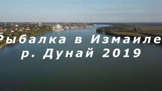 Рыбалка на Дунае г. Измаил 2019