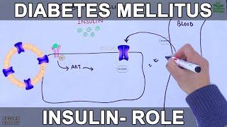 Diabetes Mellitus