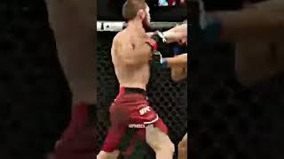 #ufc #shorts #habib