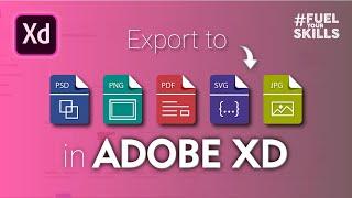 Learn How to Export Assets or How to convert XD to PSD, CSS, SVG, png, jpg, 1x, 2x, 3x