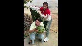 The funniest video in the countryside #funny #funnyvideo #shortvideo
