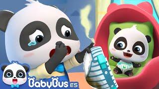 Cuidamos al Hermanito | Canciones Infantiles | Videos para Niños | BabyBus en Español