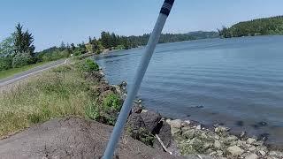 Fishing Fun off the Bay Road