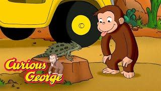 The Desert Is Full of Life!  Curious George  Kids Cartoon  Kids Movies