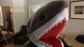 How To Be A Shark in the Big Tank of Marketing Online?