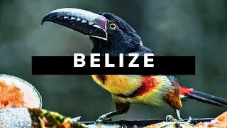 BELIZE TRAVEL DOCUMENTARY | The Grand Belizean Roadtrip 