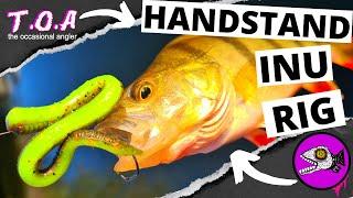 HANDSTAND INURIG | THE ULTIMATE FINESSE WORM RIG