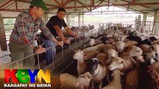 KBYN: Mga produktong nagagawa mula sa mga kambing at tupa