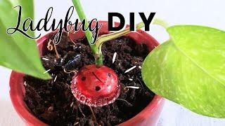 Decorate Your House Plants - DIY Ladybug Plant Charm - Trash To Treasure