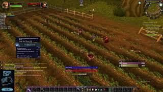 World first hardcore 60 - Classic WoW SoM --- Level 1-20