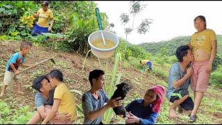 Mother and child go to fertilize vegetables, husband goes to make pig pen door to separatepiglets