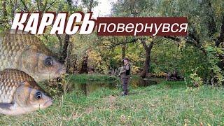 Карась ПОВЕРНУВСЯ..!!!  ЗОЛОТА осінь... Клює на МАСТИРКУ   Fishing Video