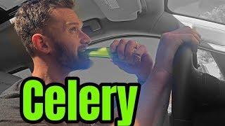 Celery Juice Everyday?! Legit or Total Joke?